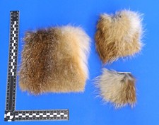 Echtes Fuchsfell, Fellstücke