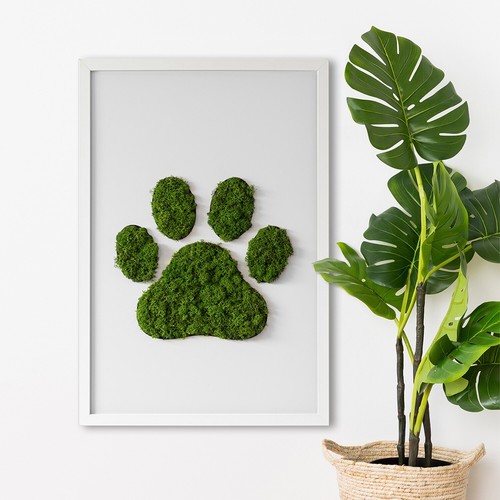 Bild mit natürlichem - bild, moos-