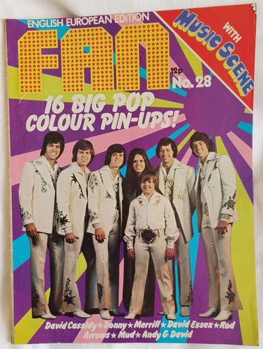 Fan magazine the arrows - fan, 28: