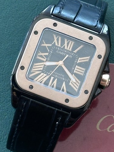 Cartier santos - santos,