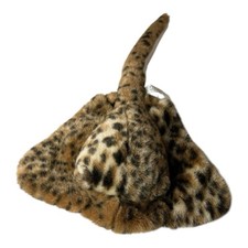 Stachelrochen Rochen