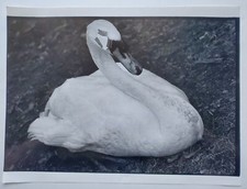 Fotografie Fotokunst Original