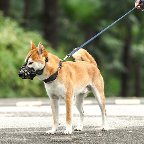 Beisskorb hund klein beißkorb - beisskorb,