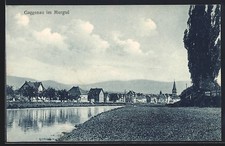 Gaggenau, Gesamtansicht