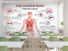 3D Mensch Körper Q2626 Tapete