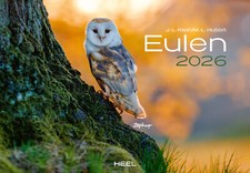 Kalender Eulen 2026