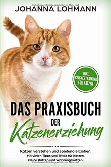 Das praxisbuch der - das,