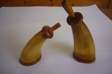 2 Originelle Kuhhorn