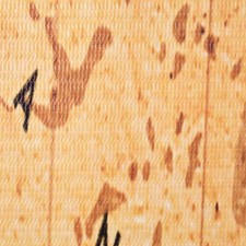 Raumteiler Klappbar 160x170 Cm