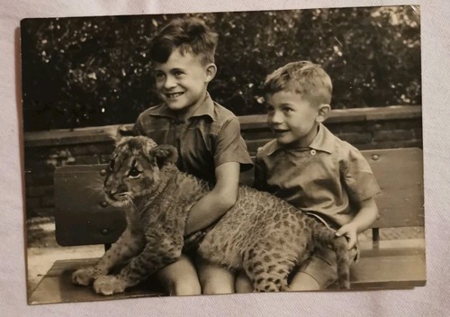 Ddr foto 1961 tierpark berlin - ddr,