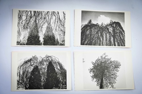 Kunstpostkarten groß 18 - x,