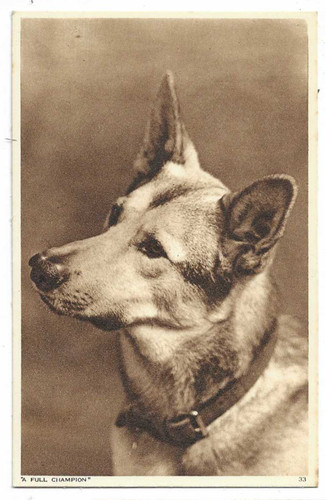 Fotochrome postkarte ein - fotochrome,