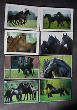 8 Postkarten Friese,Pferd,Pferde,Tier,Tiere,Pferdepostkarte,AK,Ansichtskarte