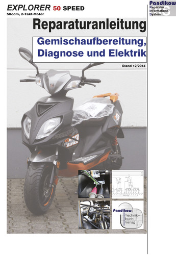 Reparaturanleitung ris - reparaturanleitung,