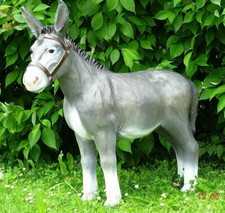 XL Premium Esel 100cm