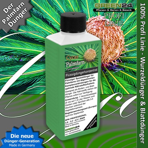 Palmfarn dünger cycas - palmfarn,