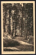 Selters /Westerwald, Partie