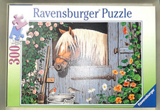 Rar + komplett: 300 Teile