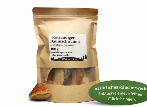 Rotrandiger baumschwamm - rotrandiger,