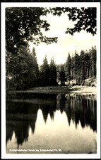 Knöpfelstaler Teich im Schortetal c 1960 Bechstein Ilmenau Verlag Foto Ak No.236