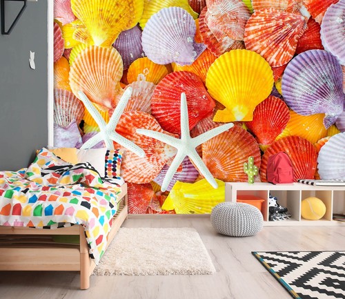 Bunte muscheln m5177 tapete - m5177,