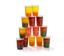 10x Frischer Bubble Tea •