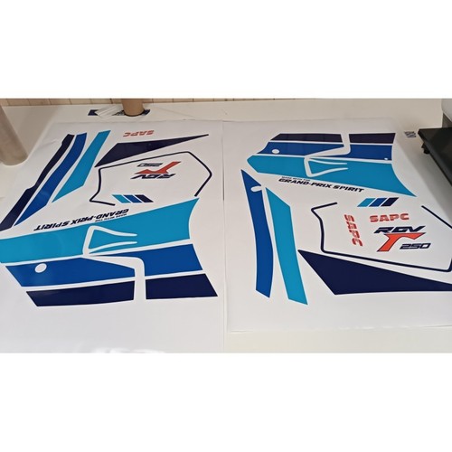Pegatinas rgv 250 vj22 - rgv,