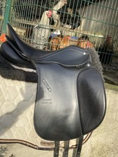 Passier Compact Comfort Gr 2