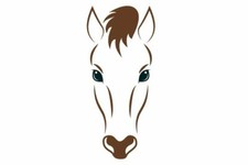 Pferd Bild Poster Kunstdruck