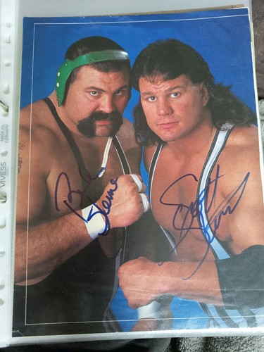 Steiner brothers rick scott - steiner,