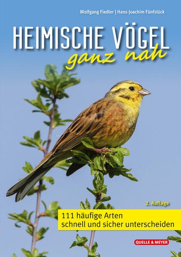 Heimische vögel ganz nah - vögel, |