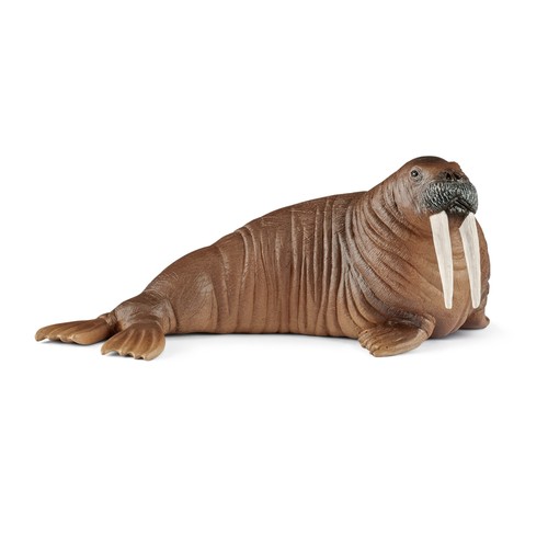 Gw843c schleich 14803 - 14803, walross
