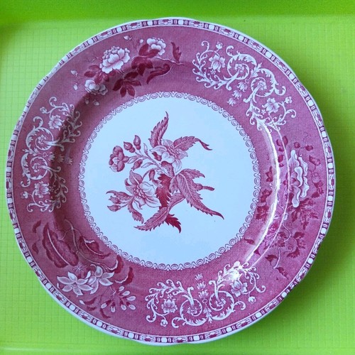 Speiseteller groß spode - speiseteller,