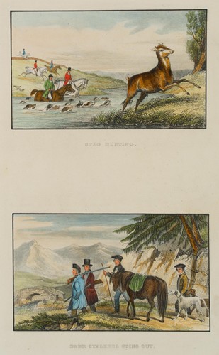 Hirschjagd highlands jagd - highlands,,
