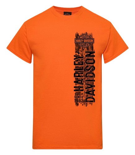 Harley davidson shirt - harley-davidson, t-shirt