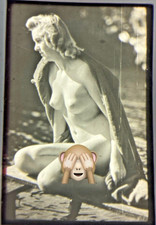 Dia weiblicher Akt nackt nud