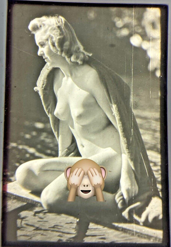 Dia weiblicher akt nackt nud - akt,