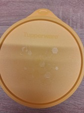 🌱 Große Hitparade Biene