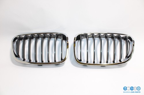 Ziergitter nieren front - ziergitter,