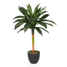 Künstliche Dracaena 85 cm