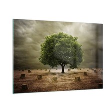 Wandbilder 100x70cm Glasbild