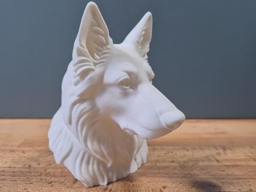 Deutscher schäferhund - deutscher,