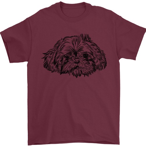 Shih tzu hund - tzu, herren