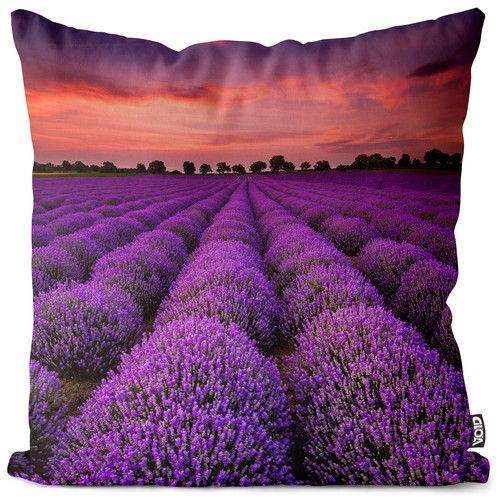 Lavendel natur feld - lavendel, landschaft