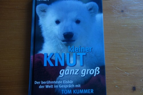 Kleiner knut ganz groß - kleiner,