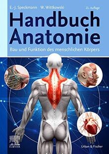 Handbuch anatomie bau - bau, und