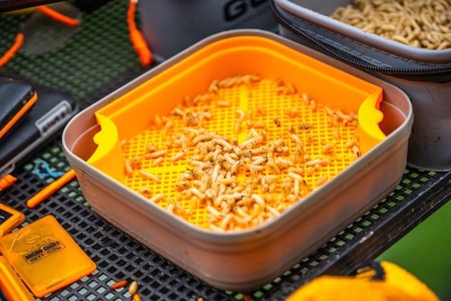Guru maggot riddle orange 3mm - maggot,