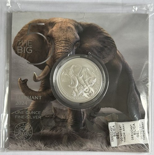 Rand 2024 südafrika big - 5,