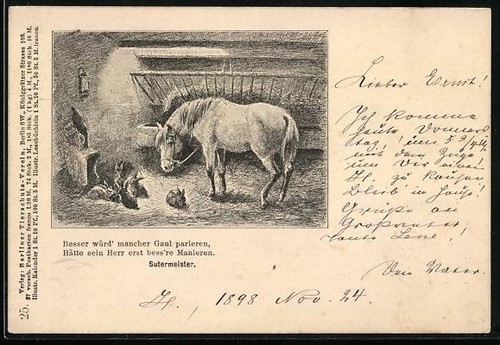 Pferd und kaninchen - im, stall