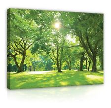 WALD GRÜN NATUR Leinwandbild Groß Wandbilder Leinwand Bilder Canvas Wandbild 13
